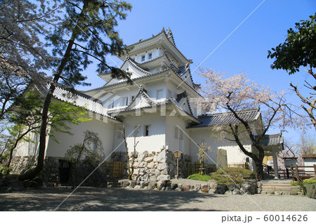 大垣城 春の大垣城 桜と大垣城 大垣城天守閣 巨鹿城 大垣城 春の大垣城 桜と大垣城 大垣城天守閣 巨鹿城 60014626