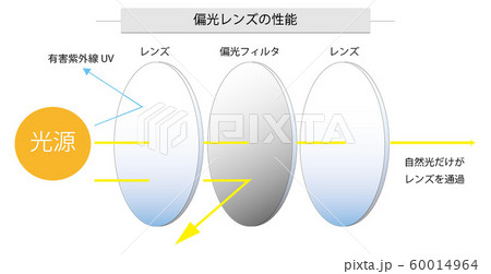 偏光レンズ レンズ めがね 偏光膜 偏光 Uv 図解 説明のイラスト素材