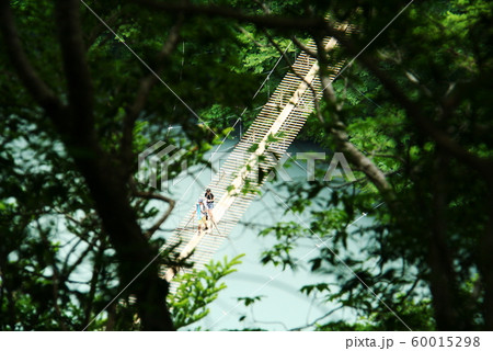南アルプス　寸又峡　夢の吊橋のある風景 60015298