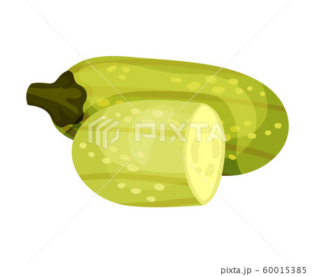 Zucchini Crop Illustrated Minestrone Ingredient Isolated On White Background 60015385