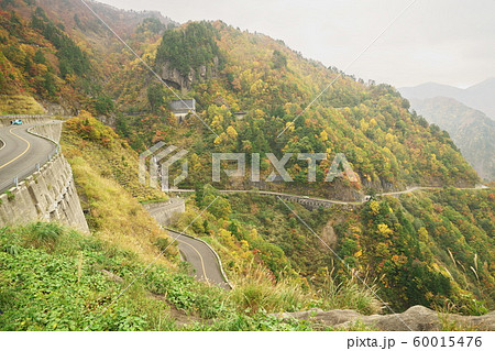 秋の白山白川郷ホワイトロード　国見展望台 60015476