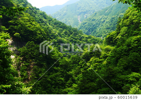 南アルプス　寸又峡　飛龍橋のある風景 60015639