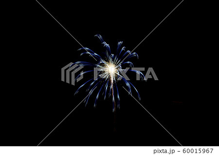花火甲子園 2019 蒲郡 花火甲子園 2019 蒲郡 60015967