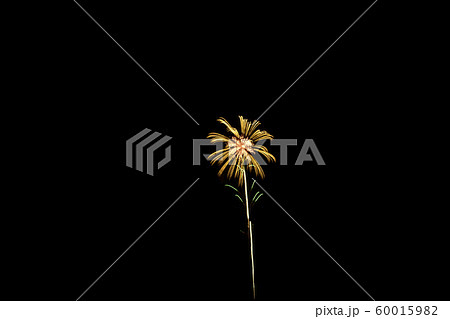 花火甲子園　2019 蒲郡 60015982