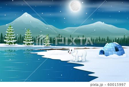 Scene a polar bear and igloo in a winter night 60015997