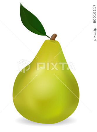 Green pear Green pear 60016117