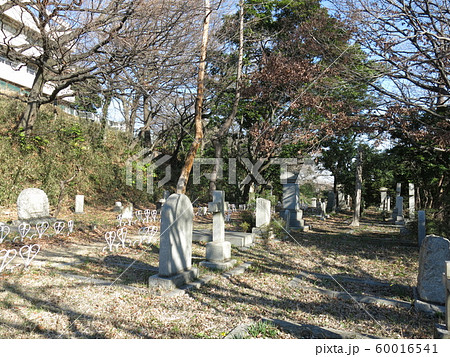 横浜市の根岸外国人墓地 60016541