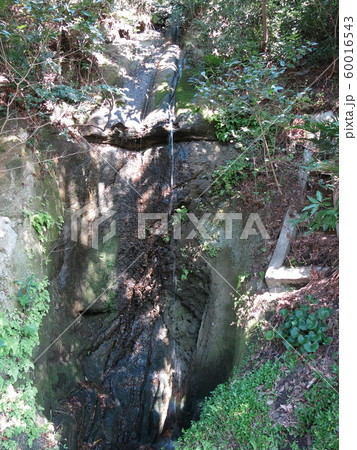 横浜市中区根岸町にある白滝不動尊の不動滝 60016543
