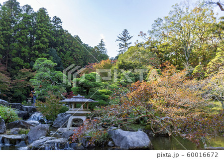 日本庭園の紅葉 60016672
