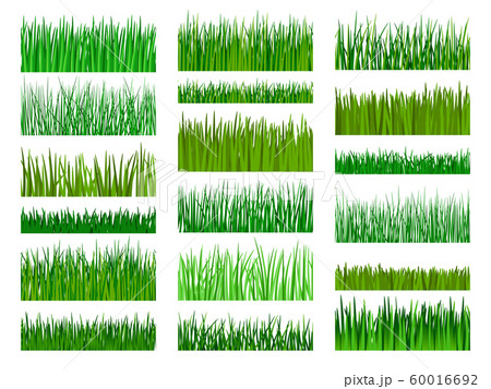 Grass border horizontal seamless pattern Grass border horizontal seamless pattern 60016692