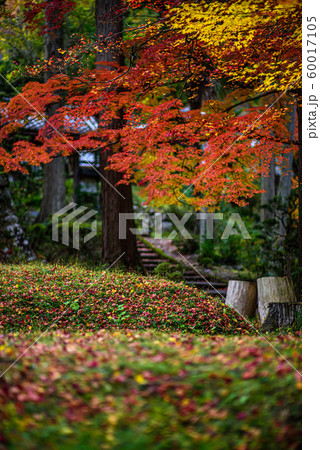 【京都府】龍穏寺 60017105