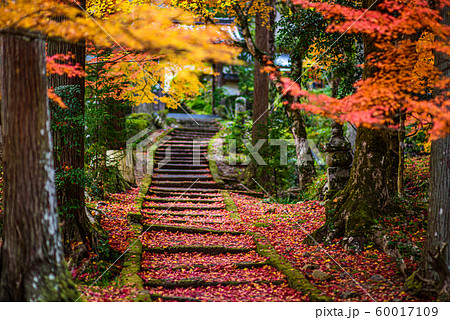 【京都府】龍穏寺 60017109