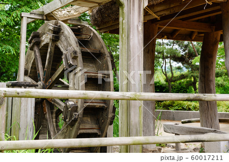 木 伝統 韓国 60017211