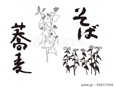 蕎麦　そば　筆文字 60017409