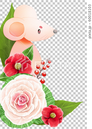 ネズミ　椿　葉牡丹 60018103