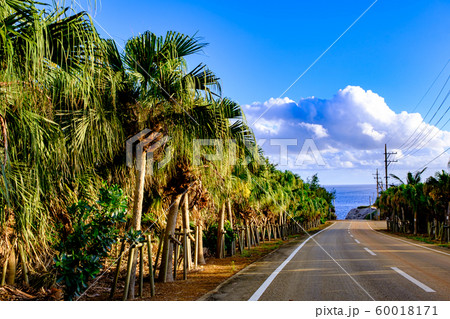 沖縄・南大東島の海をのぞむ道 60018171