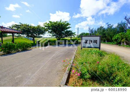 沖縄・南大東・星野洞 沖縄・南大東・星野洞 60018990