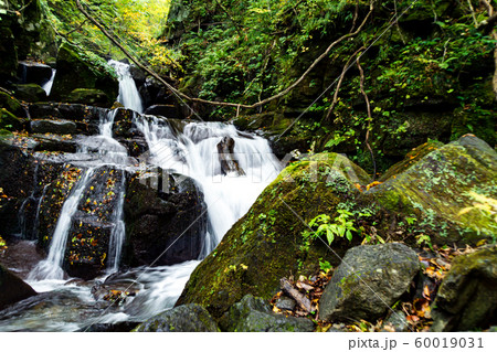 奥入瀬渓流 60019031