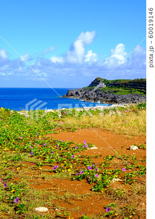 沖縄 南大東の海と朝顔の写真素材