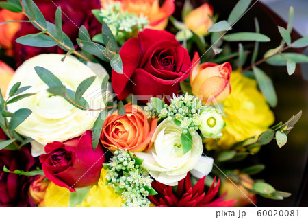 花 卒業 入学 60020081