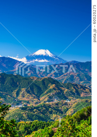東京 高尾山 もみじ台からの富士山 東京 高尾山 もみじ台からの富士山 60020275