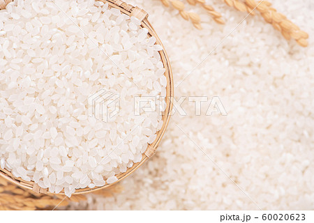 ごはん イネ 米 60020623