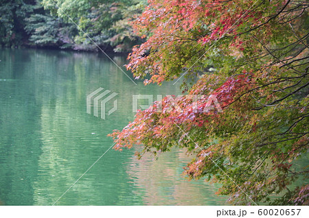 南伊奈ヶ湖 南伊奈ヶ湖 60020657