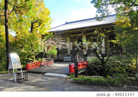 鎌倉の町並み　鶴岡八幡宮境内の鎌倉国宝館 60021147