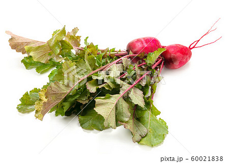 紅くるり大根 60021838