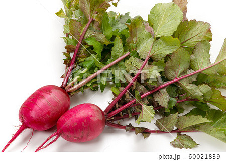 紅くるり大根の写真素材