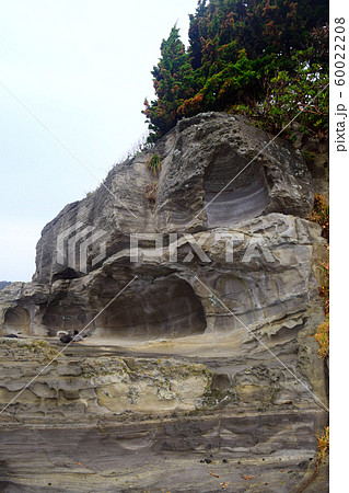 恵比須島 静岡県 恵比須島 静岡県 60022208