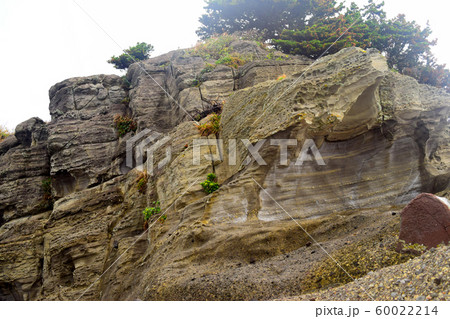 恵比須島　静岡県 60022214