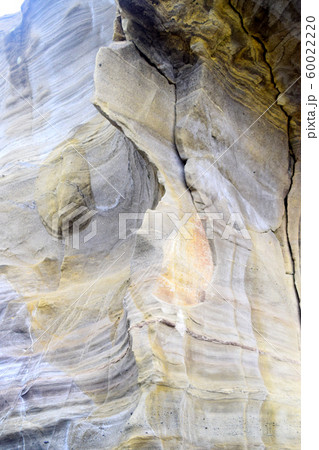 恵比須島　静岡県 60022220