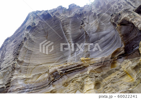 恵比須島　静岡県 60022241