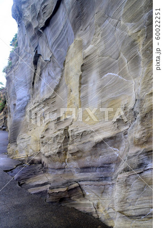 恵比須島 静岡県 恵比須島 静岡県 60022251