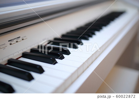 ピアノ 楽器 音楽 (オルガン チェンバロ ハープシコード MIDI シンセサイザー 鍵盤 白黒) ピアノ 楽器 音楽 (オルガン チェンバロ ハープシコード MIDI シンセサイザー 鍵盤 白黒) 60022872