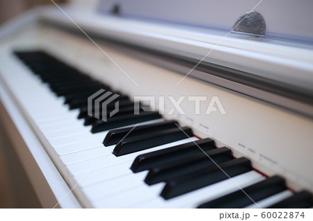 ピアノ 楽器 音楽 (オルガン チェンバロ ハープシコード MIDI シンセサイザー 鍵盤 白黒) ピアノ 楽器 音楽 (オルガン チェンバロ ハープシコード MIDI シンセサイザー 鍵盤 白黒) 60022874