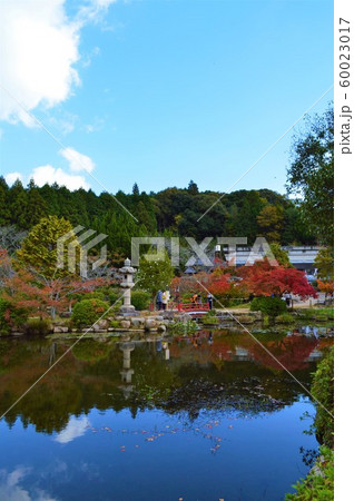 紅葉の東行庵 60023017