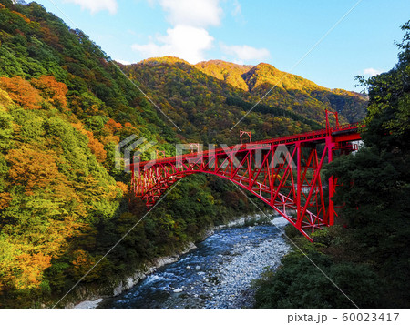 【富山】秋の黒部峡谷 新山彦橋の紅葉とトロッコ列車 【富山】秋の黒部峡谷 新山彦橋の紅葉とトロッコ列車 60023417