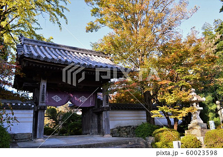 龍福寺　紅葉 60023598