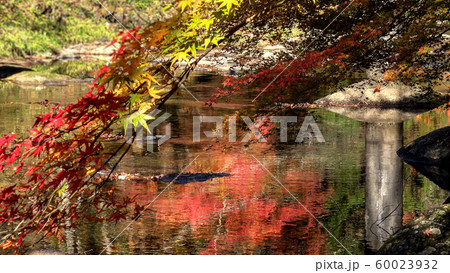 龍頭八重滝の紅葉 60023932