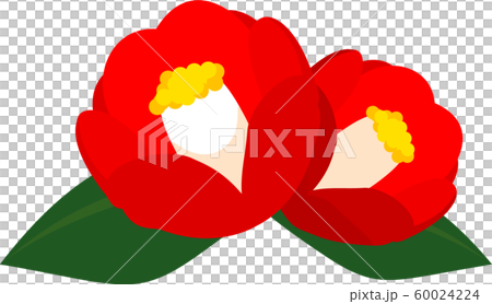 Tsubaki Tsubaki Early Spring 60024224