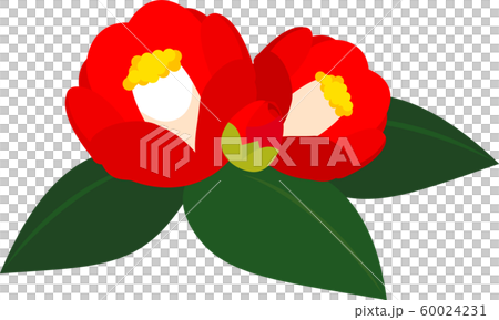 Tsubaki Tsubaki Early Spring Tsubaki Tsubaki Early Spring 60024231