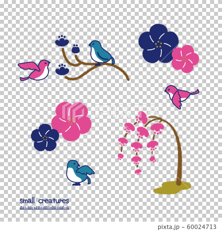 梅の花と小鳥 60024713