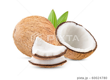 coconut isolated with leaf on white background. full depth of field coconut isolated with leaf on white background. full depth of field 60024780