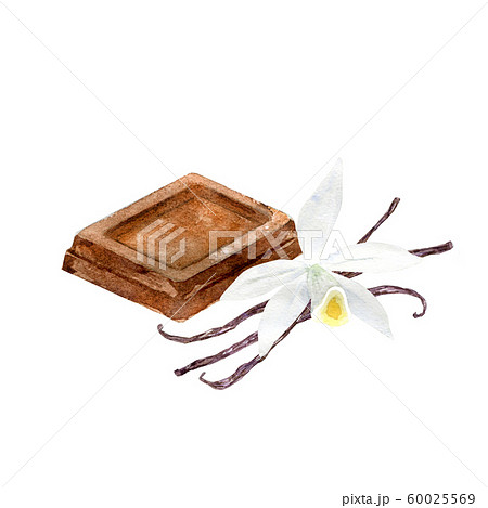 Chocolate Piece With Vanilla Flower Stock Illustration