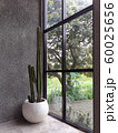 Cafe Building Corner Interior with Cactus Plant  60025656