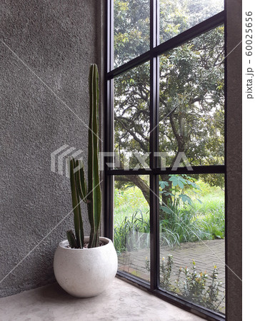 Cafe Building Corner Interior with Cactus Plant Cafe Building Corner Interior with Cactus Plant 60025656