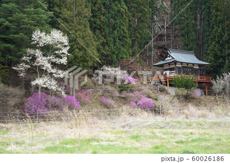 学問の神様菅原道真公（鹿教湯温泉湯の里天神社） 60026186