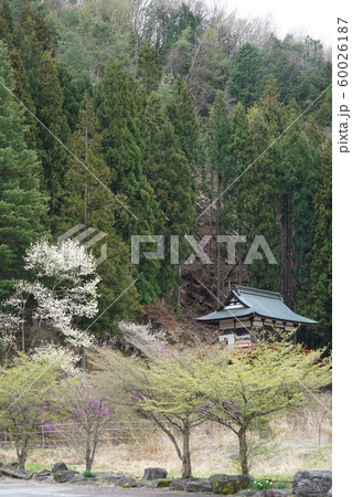 学問の神様菅原道真公(鹿教湯温泉湯の里天神社) 学問の神様菅原道真公(鹿教湯温泉湯の里天神社) 60026187